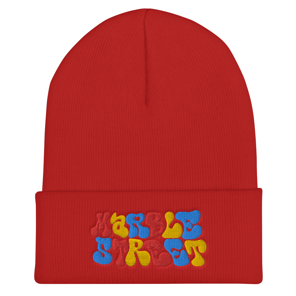 Marble Street Embroidered Beanie in Primary